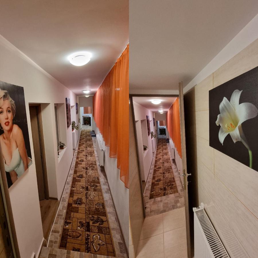 Villa Roca House à Braşov Extérieur photo