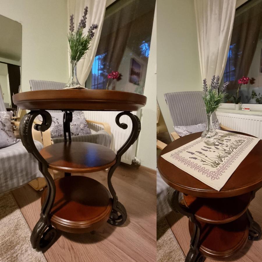 Villa Roca House à Braşov Extérieur photo