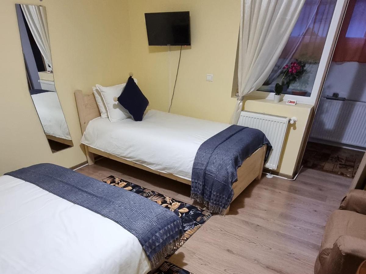 Villa Roca House à Braşov Extérieur photo