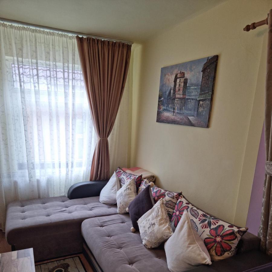 Villa Roca House à Braşov Extérieur photo