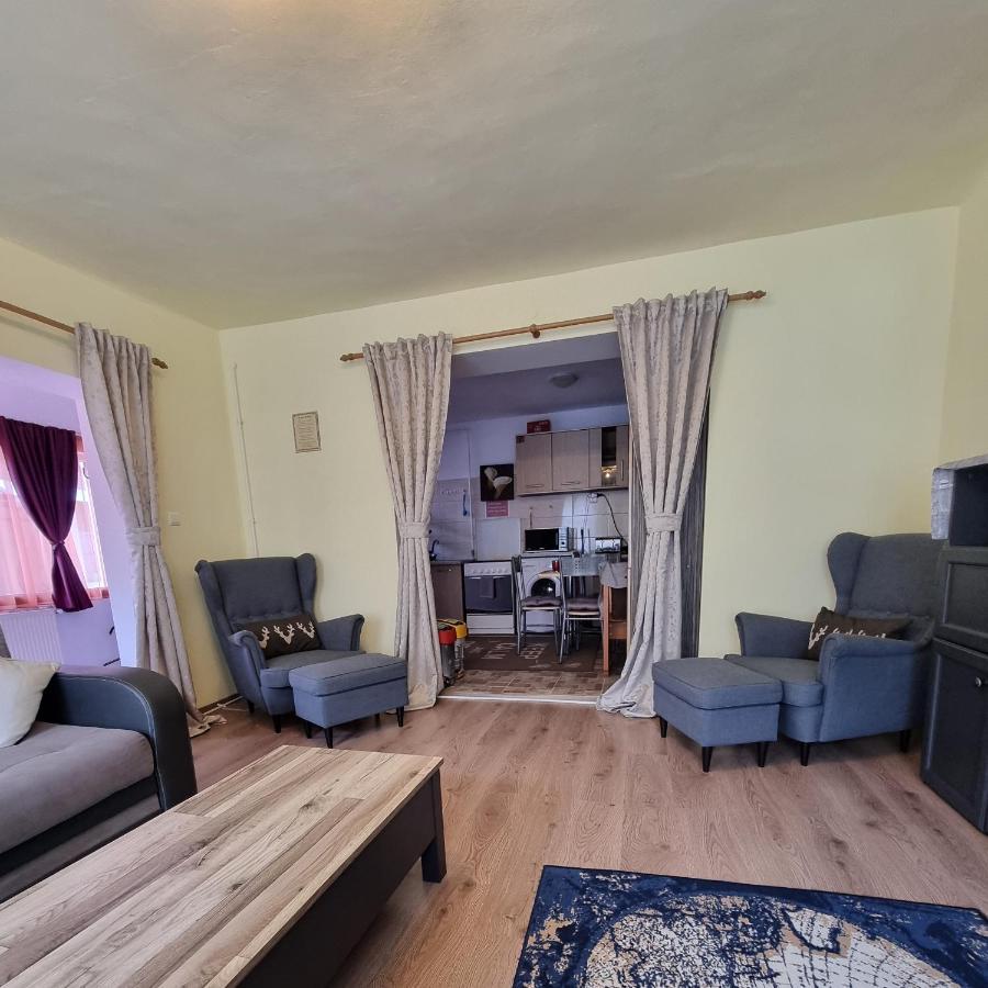 Villa Roca House à Braşov Extérieur photo